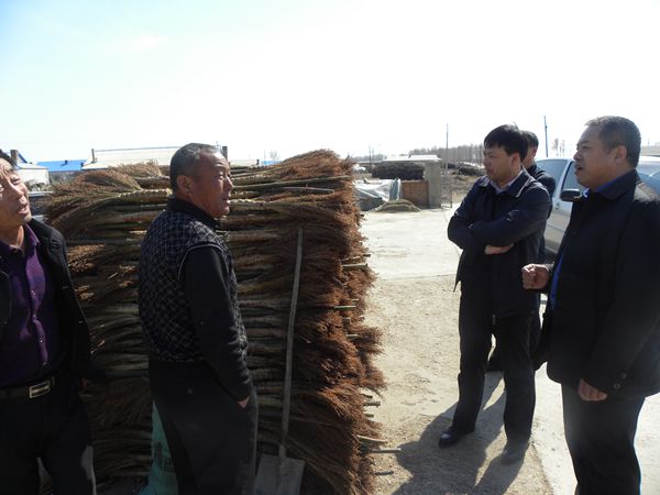 台盟吉林省委把脉新兴村笤帚捆扎产业