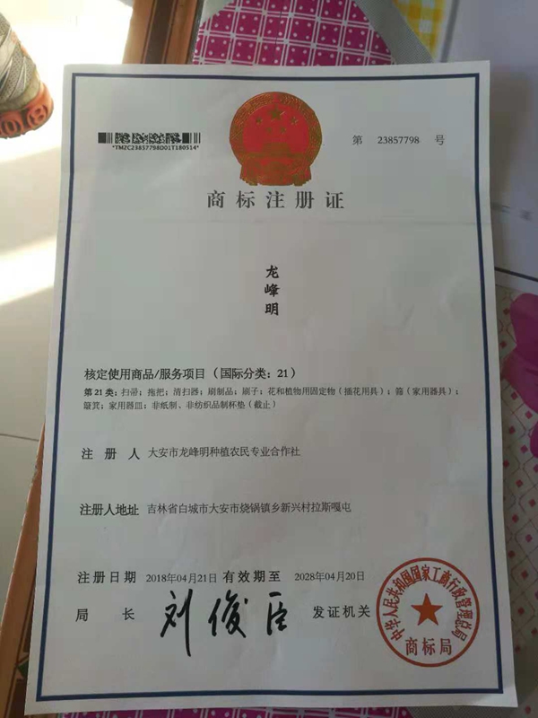 我为新兴村笤帚捆扎业代言