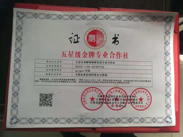 我为新兴村笤帚捆扎业代言