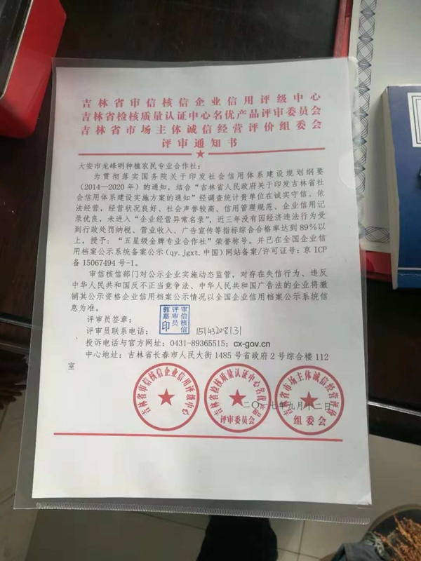 我为新兴村笤帚捆扎业代言
